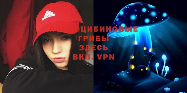 ALPHA PVP Бородино